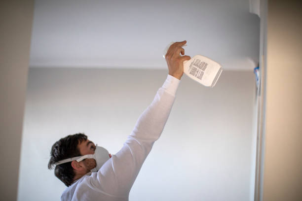 Best Post-Flood Mold Remediation in Medina, OH