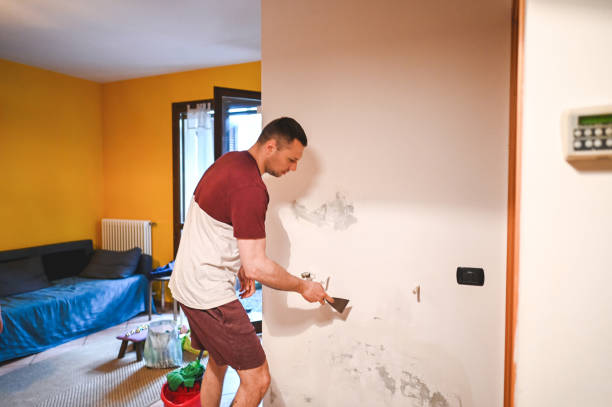 Best Attic Mold Remediation in Medina, OH